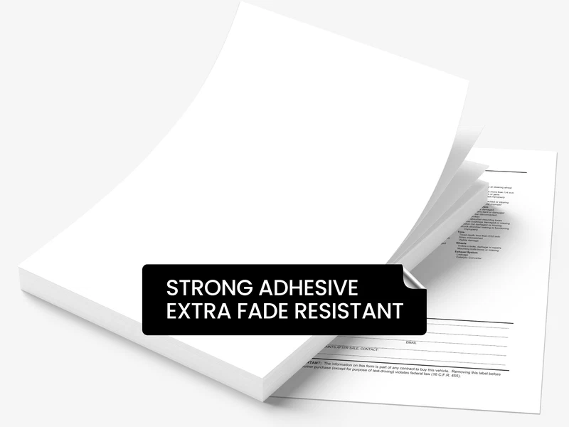 Buy Exterior Buyers Guide Backer Printing Only. Strong Adhesive. Extra Fade Resistant (Polyester) Exterior Buyers Guide Backer Printing Only. Strong Adhesive. Extra Fade Resistant (Polyester)